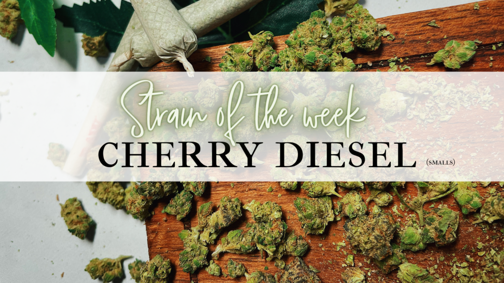 Cherry Diesel
