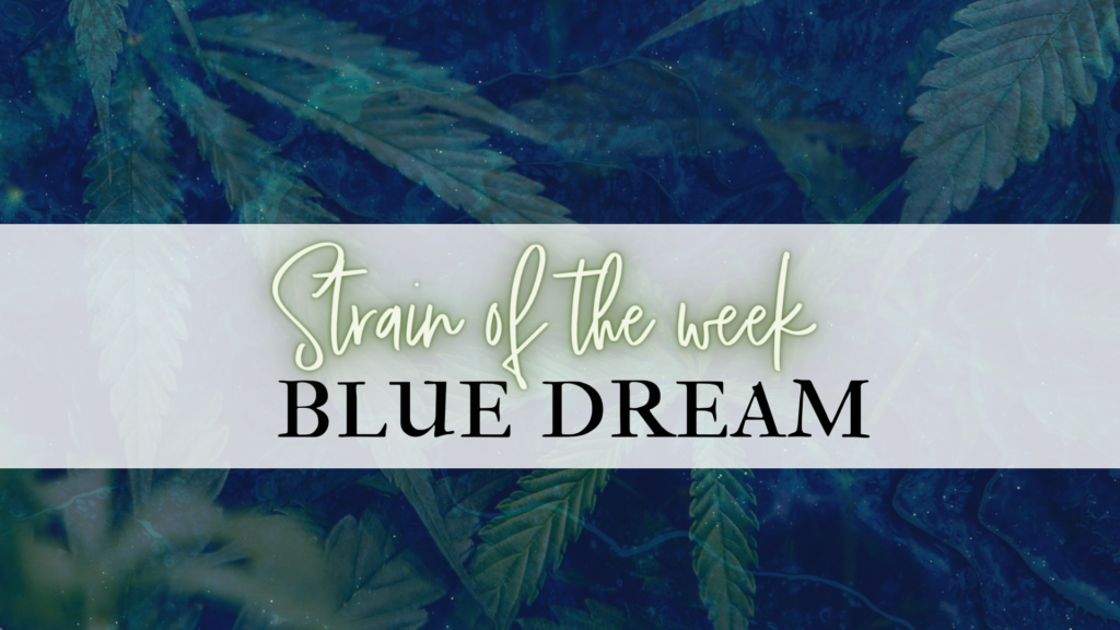 BLUE DREAM