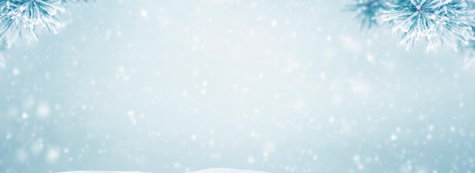 Winter Wellness Escape: How Self-Care, Yoga, and Cannabis Create Community