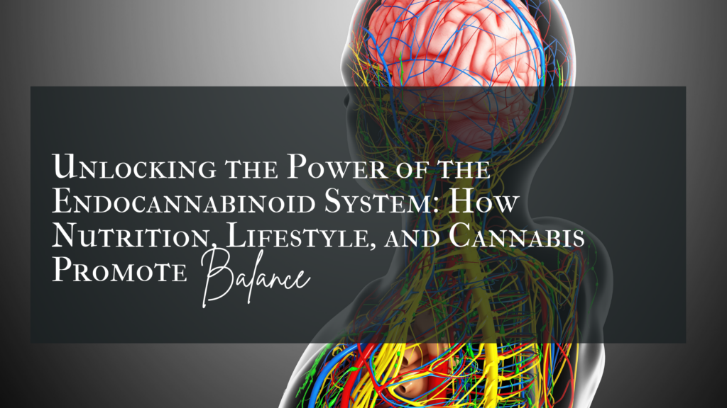 Endocannabinoid System (ECS)