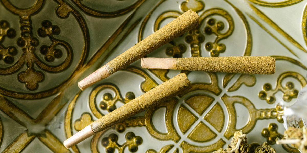 Cannabis with Intention: Remembering the Plant as Ally, Not Just Product